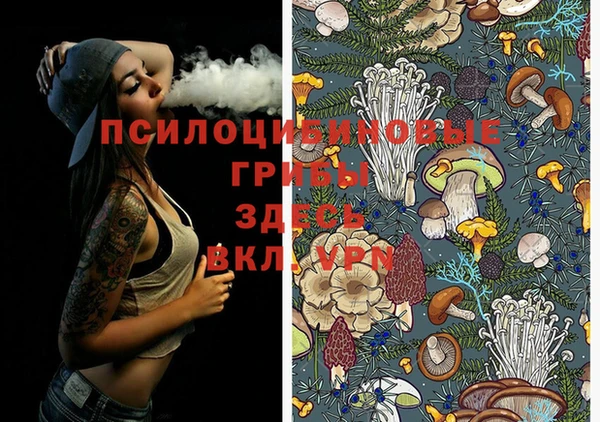 каннабис Белокуриха