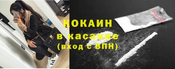 винт Богданович