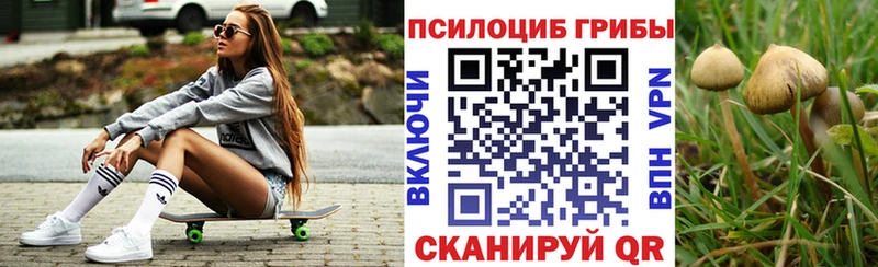 Галлюциногенные грибы GOLDEN TEACHER  мега   Пестово 